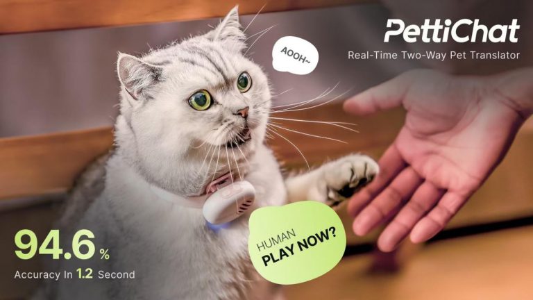 PettiChat获百万美元种子投资，造出宠物穿戴AI翻译器